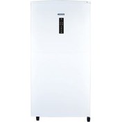 تصویر فریزر 9 فوت ایستکول مدل 2999 Freezer 2959