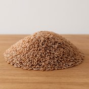 تصویر اسفرزه 