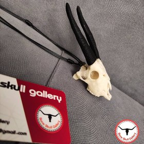 تصویر گردنبند مینی جمجمه غزال 