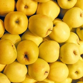 تصویر سیب زرد 