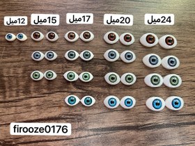 تصویر چشم قابدار بیضی 