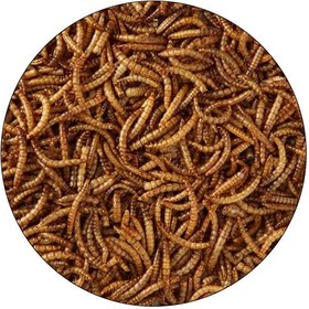 تصویر غذای ماهی میل ورم شهرپت مدل FishMealworms، وزن 100 گرم شهرپت آبزیان