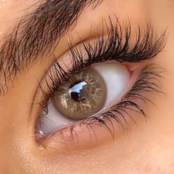 تصویر لنز عسلی طوسی خاکی دوردار هاوایی هازل سلنا 