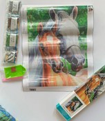 تصویر نقاشی الماسی با طرح بزرگسال سایز ۳۰ در ۴۰ - اسب 