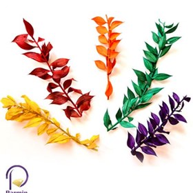 تصویر گل خشک برگ های رنگی 