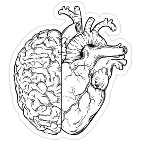 تصویر استیکر لپ تاپ- قلب و مغز 