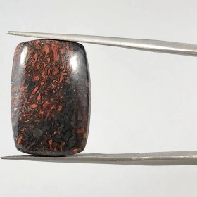 تصویر نگین فسیل استخوان دایناسور 251499 