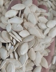 تصویر تخمه کدو ایرانی خام Pumpkin seeds