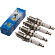 تصویر شمع تک پلاتین AMT 