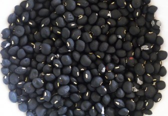 تصویر بذر لوبیا چشم بلبلی سیاه 