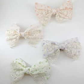 تصویر گیره پاپیون فرانسوی 