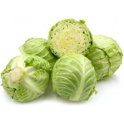 تصویر کلم سبز و قرمز ترد و خوشمزه - قرمز cabbage