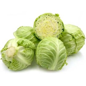 تصویر کلم سبز و قرمز ترد و خوشمزه - سبز cabbage