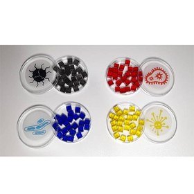 تصویر بازی فکری پندمیک 