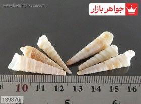 تصویر نگین صدف جذاب کد 139870 