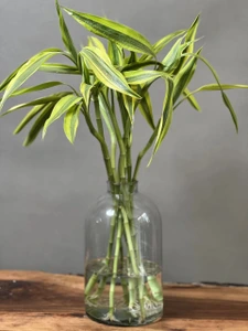 تصویر فروشگاه گلستونک