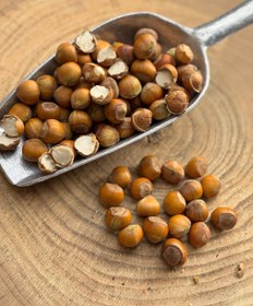 تصویر فندق خام ییلاق نشکسته