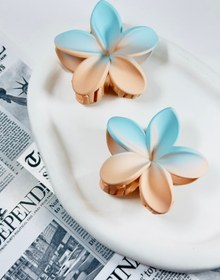 تصویر کلیپس پلومریادورنگ جیر - سفیدصورتی 