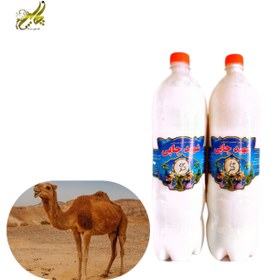 تصویر دوغ شتر دوغ شتر