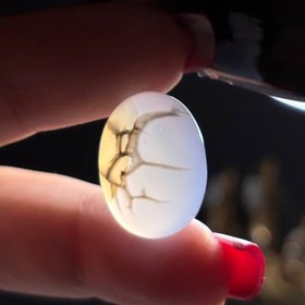 تصویر نگین سنگ عقیق دراگون معدنی کد 60348 