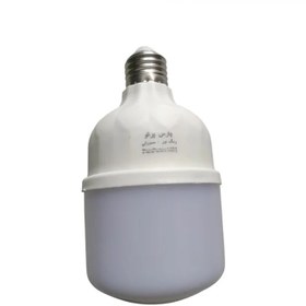 تصویر لامپ رشد گیاه 20 وات حبابی پایه E27 