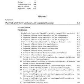 خرید و قیمت دانلود کتاب Molecular cloning : a laboratory manual 3rd ed ...
