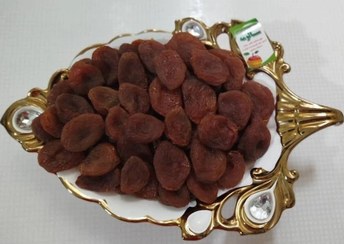 تصویر قیصی سکه ای ارگانیک 