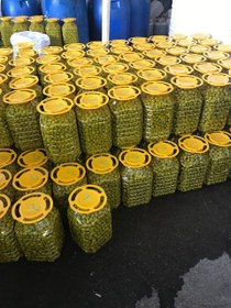 تصویر زیتون 