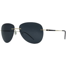 تصویر عینک آفتابی بیانکو نرو مدل BN1064 رنگ طلائی - دودی 