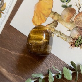 تصویر چشم ببر ۰۲ 