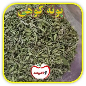 تصویر پونه کوهی اعلا – 250گرم 