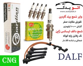 تصویر پک ویژه افزایش شتاب و قدرت CNG, ون دلیکا - با شمع CNG/LPG دالف / و وایر شمع تقویتی 