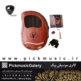 تصویر چنگ رومی سگا رزوود مدل Cg01-bn 0