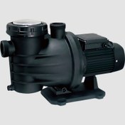 تصویر DSWm1500 پمپ استخری 2 اسب ایمر 