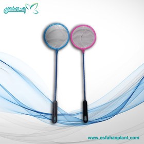 تصویر تورماهی و میگو 