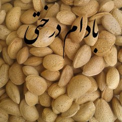 تصویر بادام سنگی بادام درختی یک کیلویی