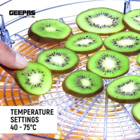 تصویر میوه خشک کن جیپاس 5 طبقه ای مدل 63013 ا fruit dryer, 5-layer model fruit dryer, 5-layer model