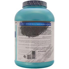 تصویر پودر مس گینر 3000 گرم استلا نوتریشن Istela Nutrition Mass Gainer Powder 3000 g