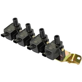 تصویر کوئل شاهین 