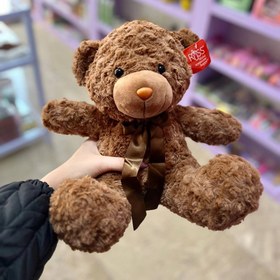 تصویر خرس راس بزرگ 