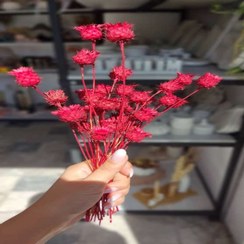 تصویر دسته گل طبیعی فندقی ۳۰ شاخه ای قرمز 