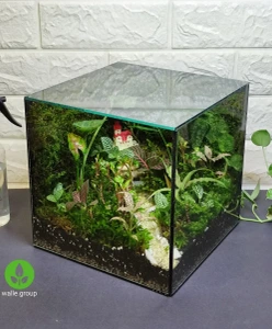 تصویر فروشگاه وال ای پلنت تهران