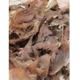 تصویر الیاف درخت خرما یا نخل 