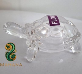 تصویر لاکپشت کریستالی 