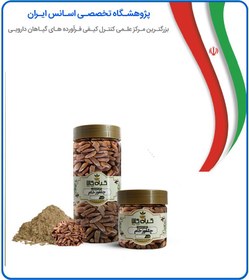 تصویر چلغوز (دانه کاج) خام بسته بندی 