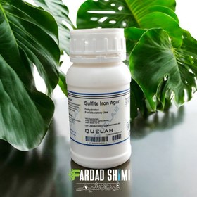 تصویر محیط کشت Sulfite Iron Agar کیولب 