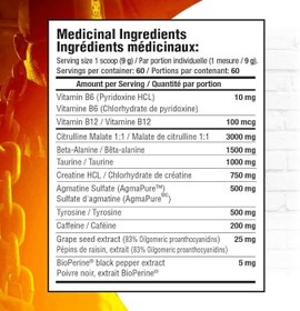 تصویر پمپ 30 سرو ماموت MAMMOTH PUMP – Pre Workout Powder, 30 Serves