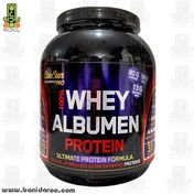 تصویر پروتئین وی آلبومین 100% دکتر سان 1000 گرمی Dr Sun 100% Whey Albumen Protein Powder 1000gr