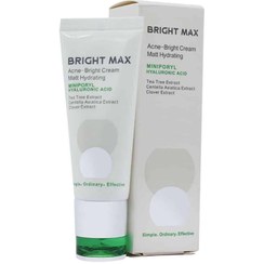 تصویر کرم مرطوب کننده مات آکنه برایت مکس حجم ۴۰ میلی لیتر Bright Max Acne Mattifying Moisturizer 40 ml
