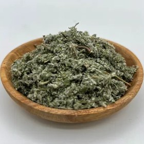 تصویر پونه کوهی 